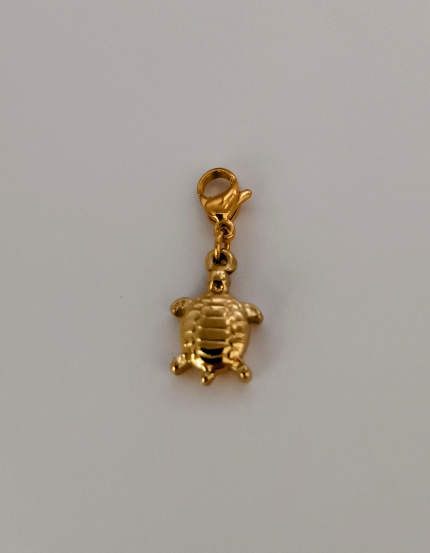 Charms (acier inoxydable) pendentifs modulables & personnalisés