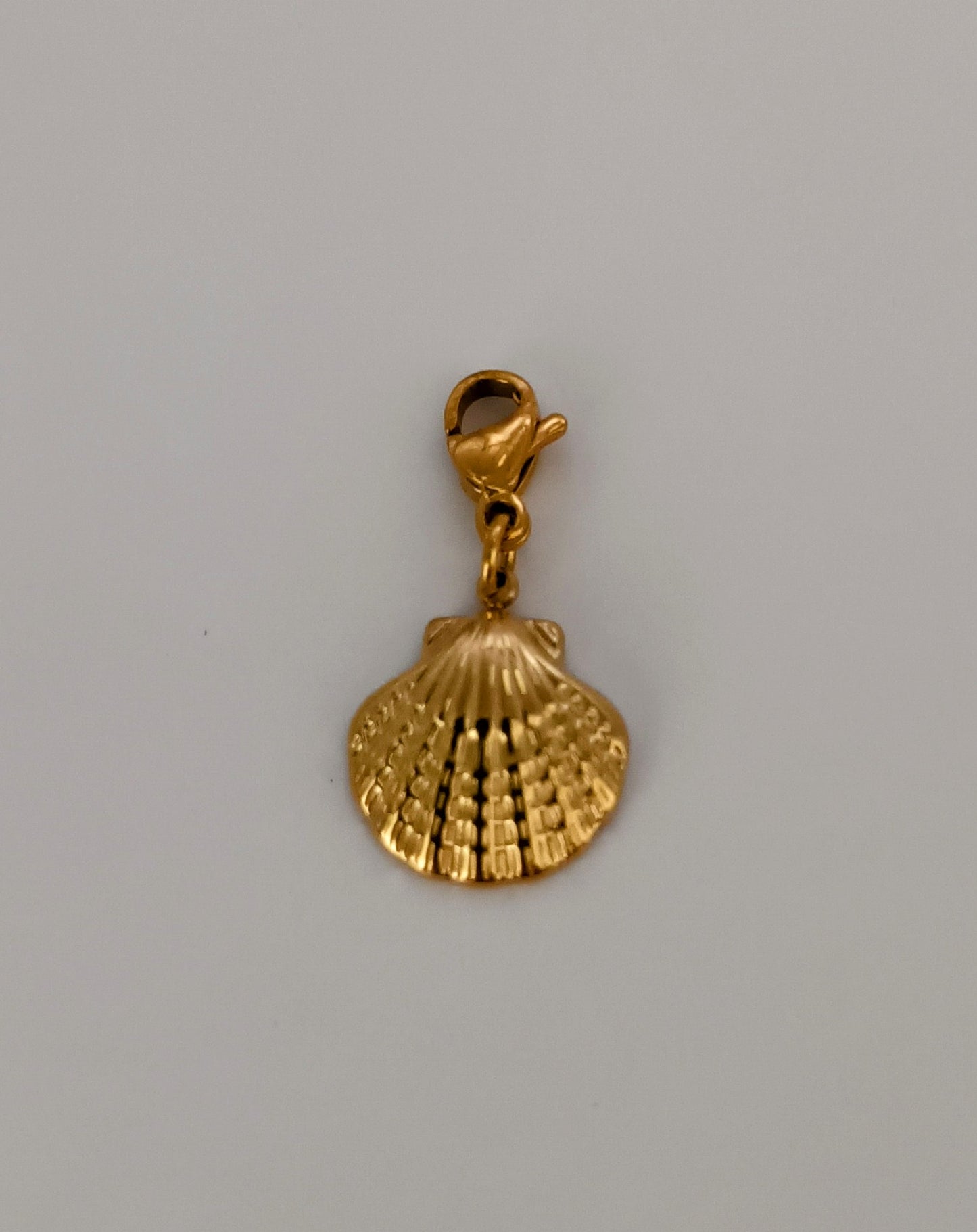 Charms (acier inoxydable) pendentifs modulables & personnalisés